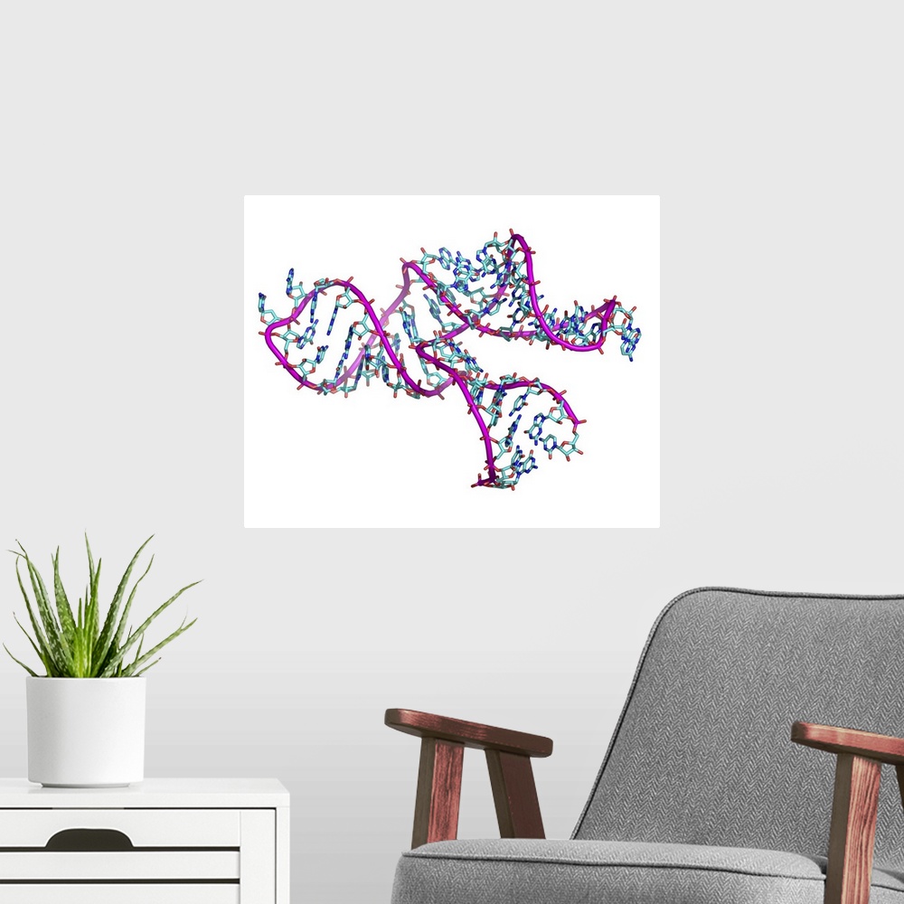 A modern room featuring Ribozyme. Computer model of a ribozyme molecule. Ribozymes are RNA (ribonucleic acid) molecules t...