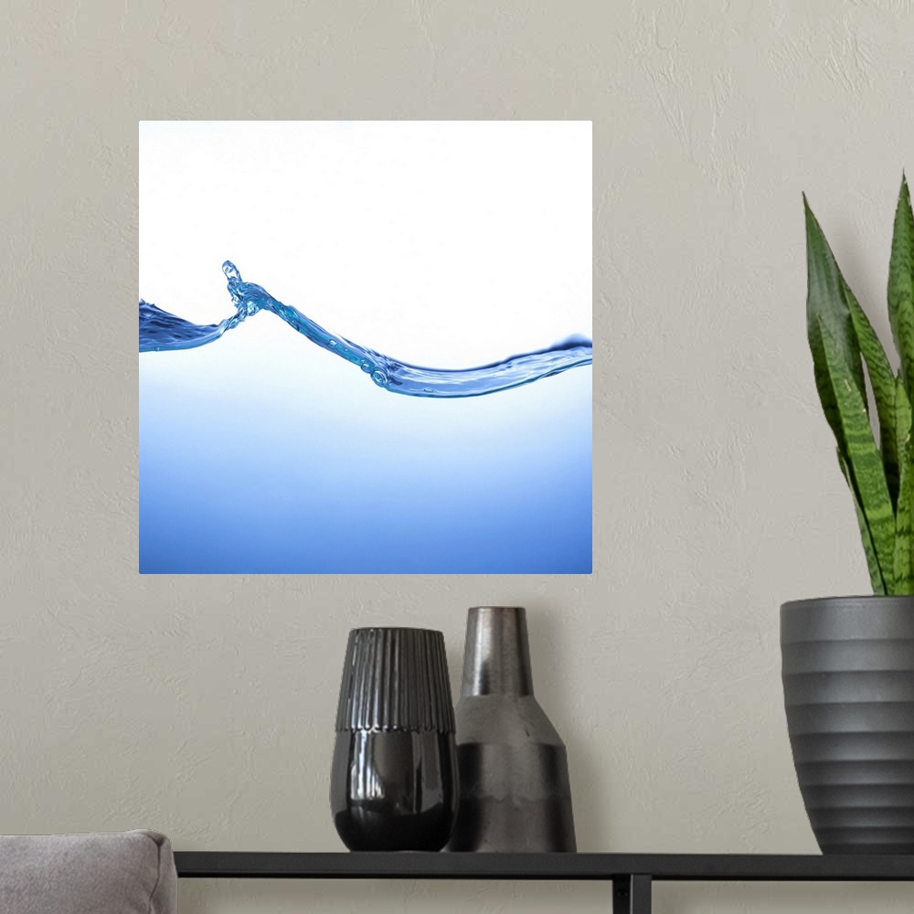 A modern room featuring Wave in a tank of water.