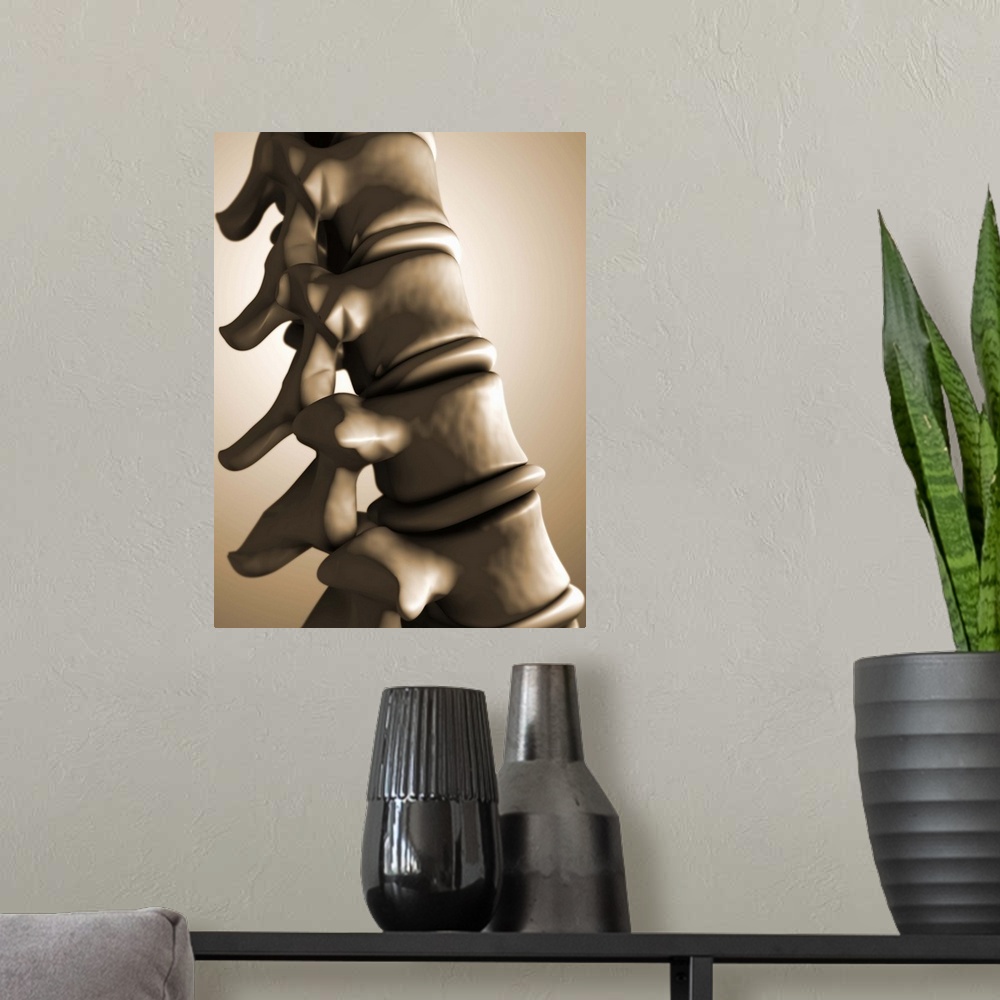 A modern room featuring Conceptual image of human backbone.