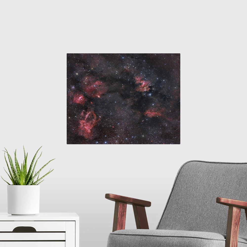 A modern room featuring Lots of dust and gas nebulosity within the Cepheus constellation.