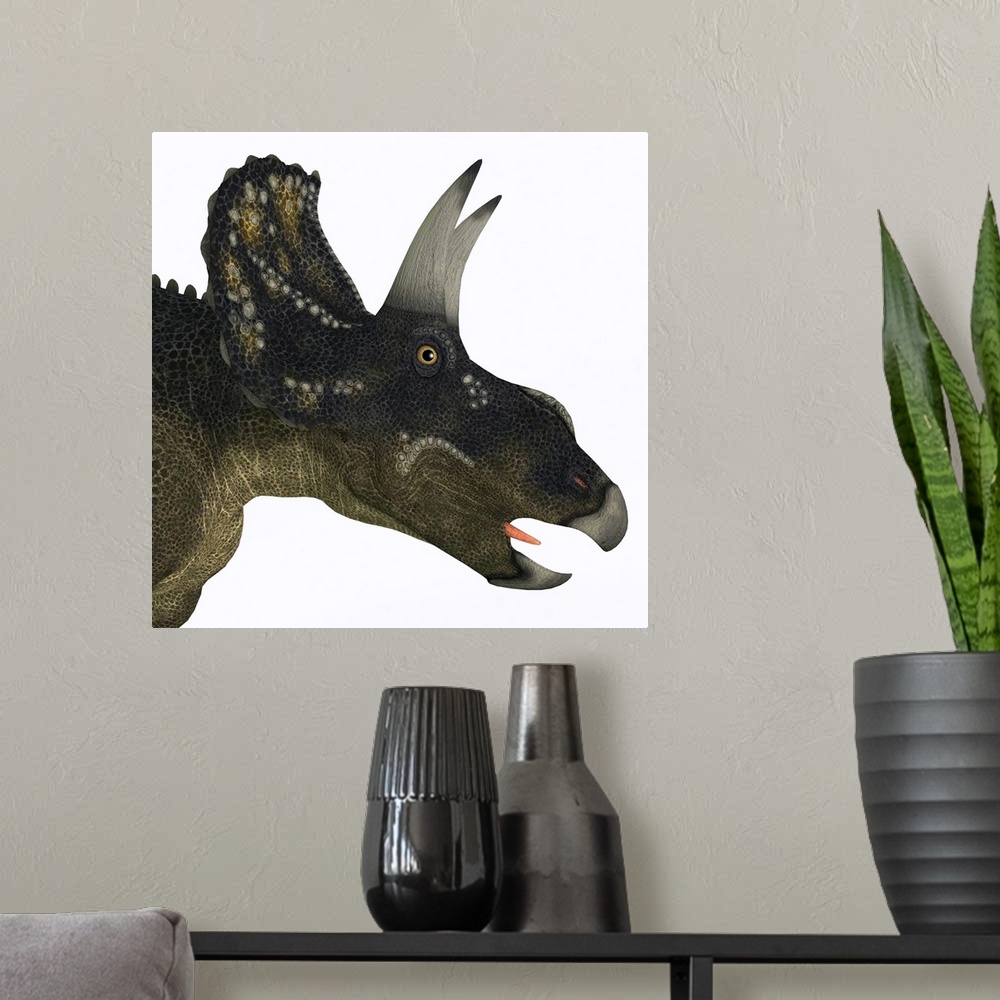 A modern room featuring Nedoceratops portrait. Nedoceratops is a herbivorous ceratopsian dinosaur that lived in the Creta...