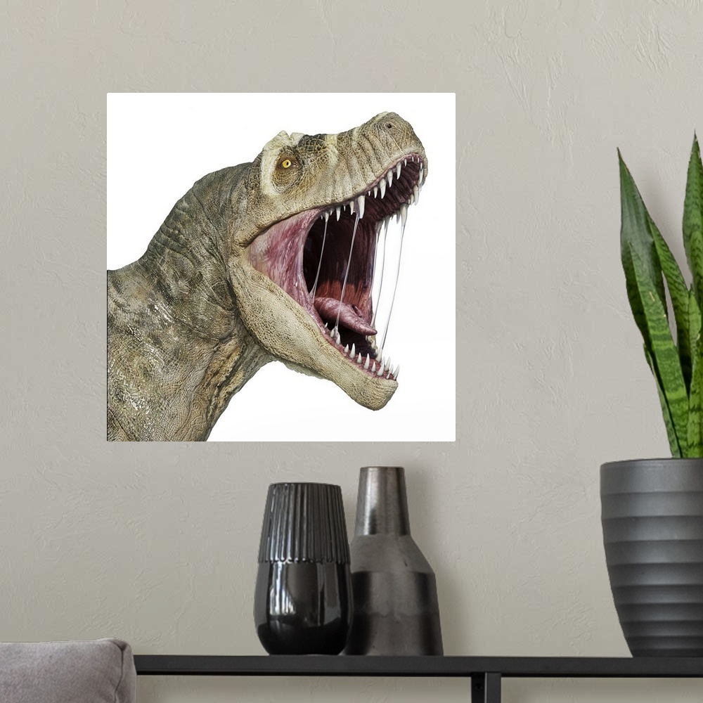 A modern room featuring T-rex head with open mouth, isolated on white background.