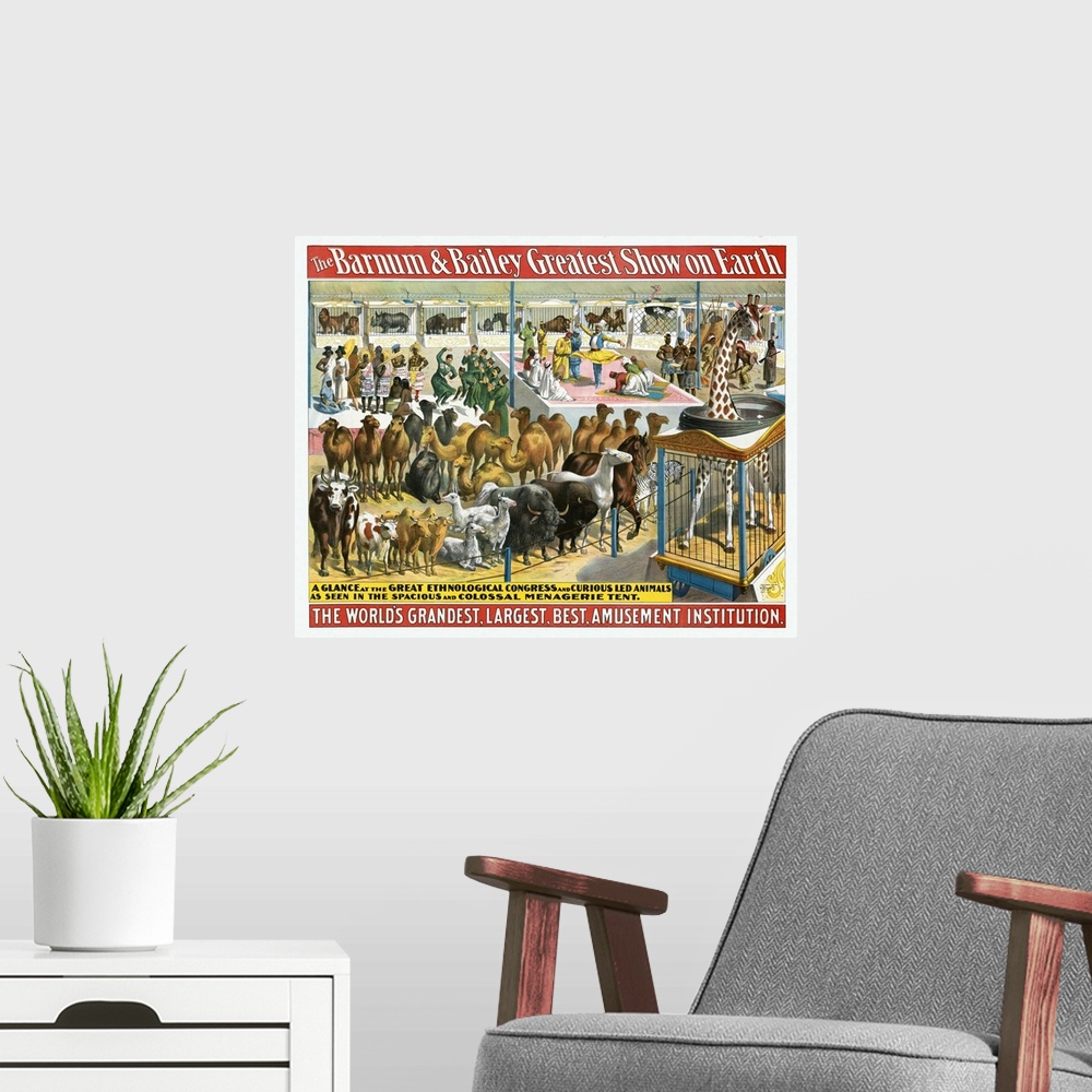 A modern room featuring Vintage Barnum & Bailey Circus Poster Of A Group Of People And Animals, 1895