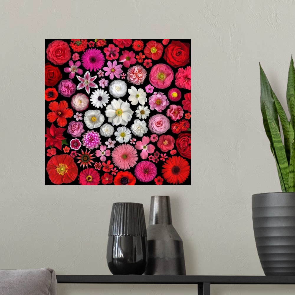 A modern room featuring Flower Mandalas Red - White