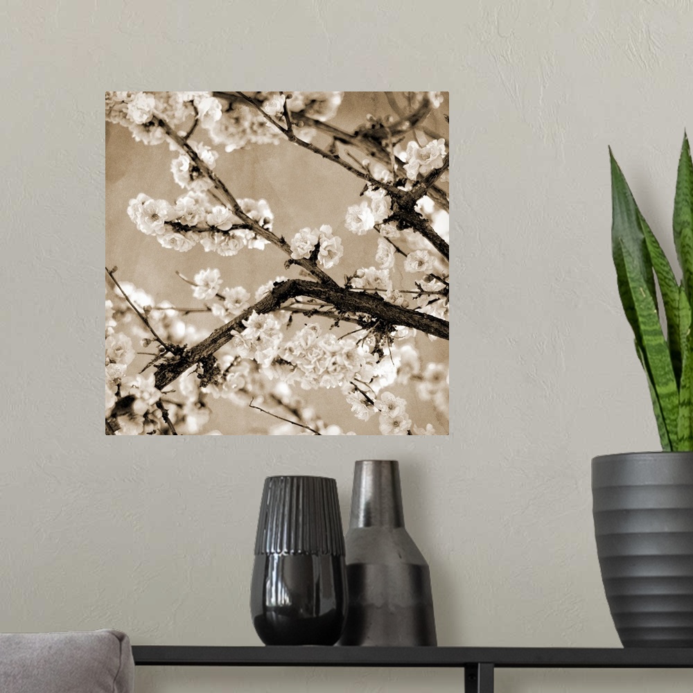A modern room featuring Black and White Blossoms II