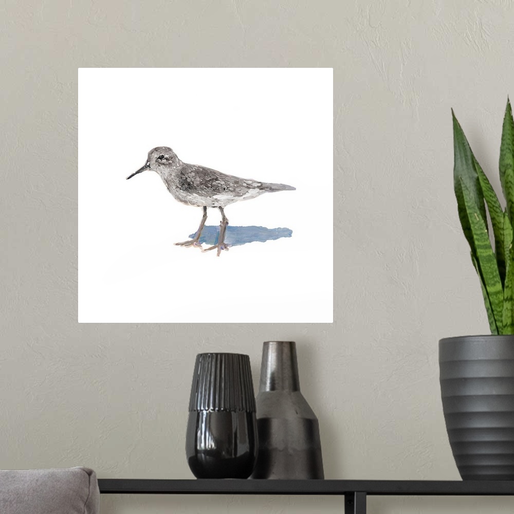 A modern room featuring Square contemporary painting of a sandpiper on a solid white background.