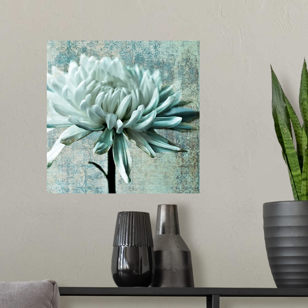 A modern room featuring Chrysanthemum Texture