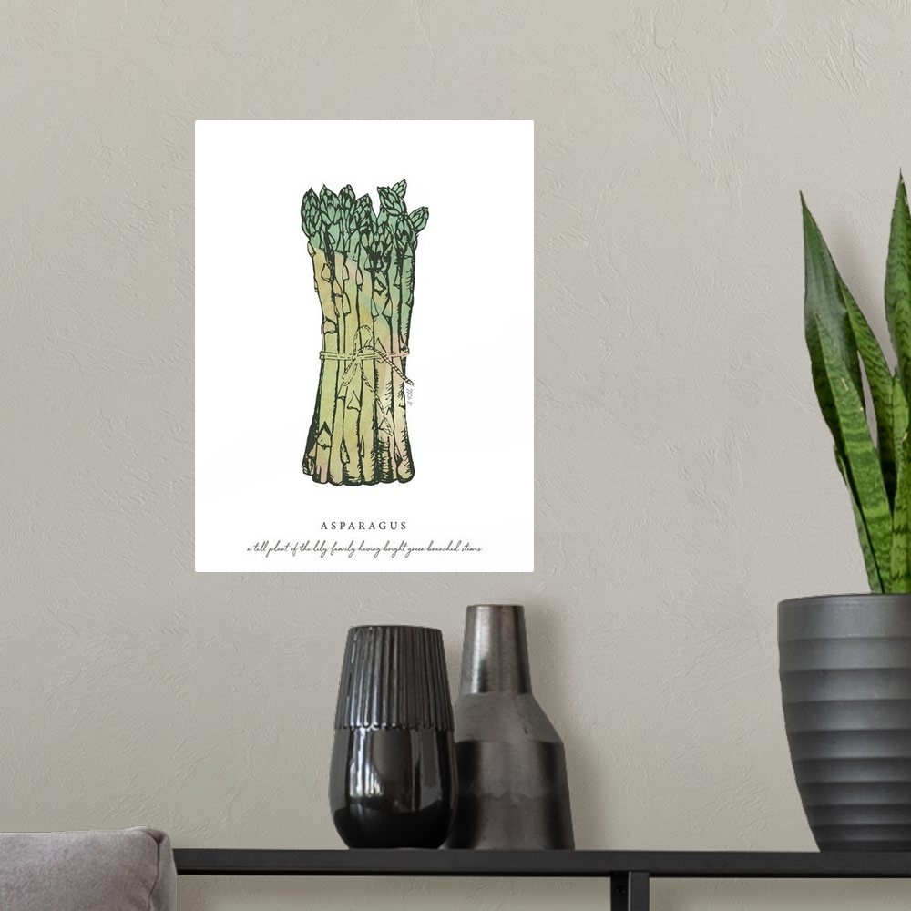 A modern room featuring Watercolor and Ink painting of asparagus with script fact.