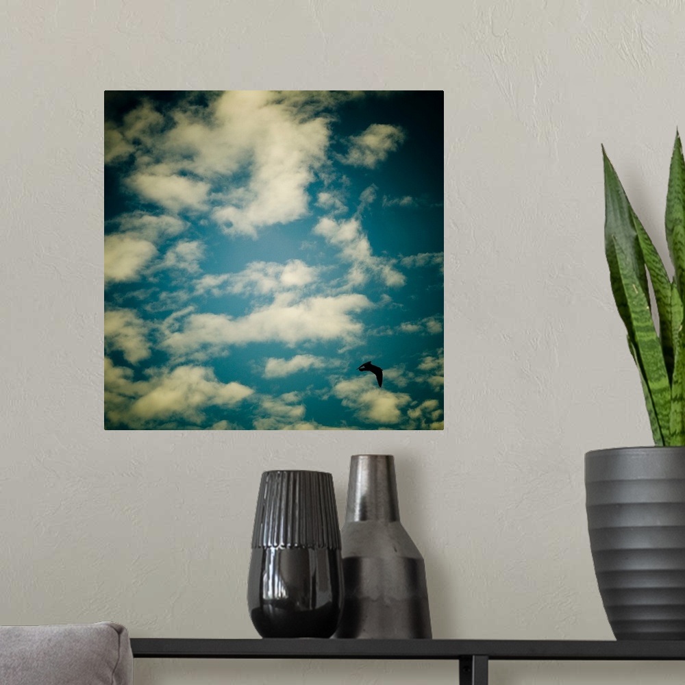 A modern room featuring A bluse sky with white clouds and a seagull