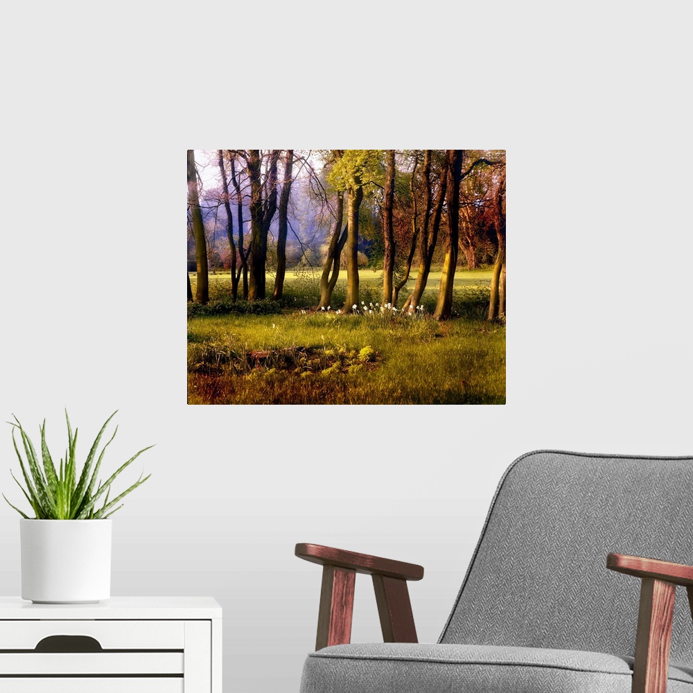 A modern room featuring A pastural scene with trees and flowers