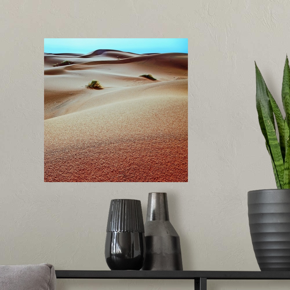 A modern room featuring Sahara Desert Sand Dunes