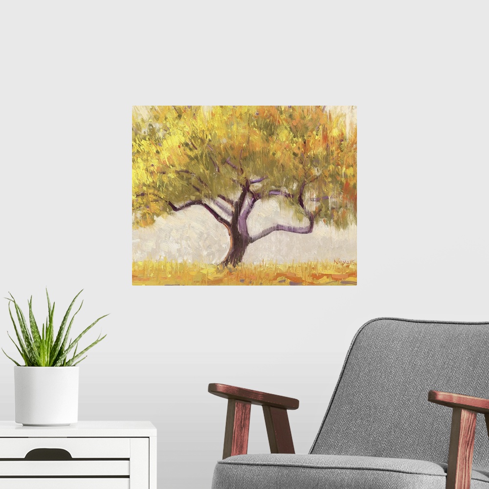 A modern room featuring Apricot Tree