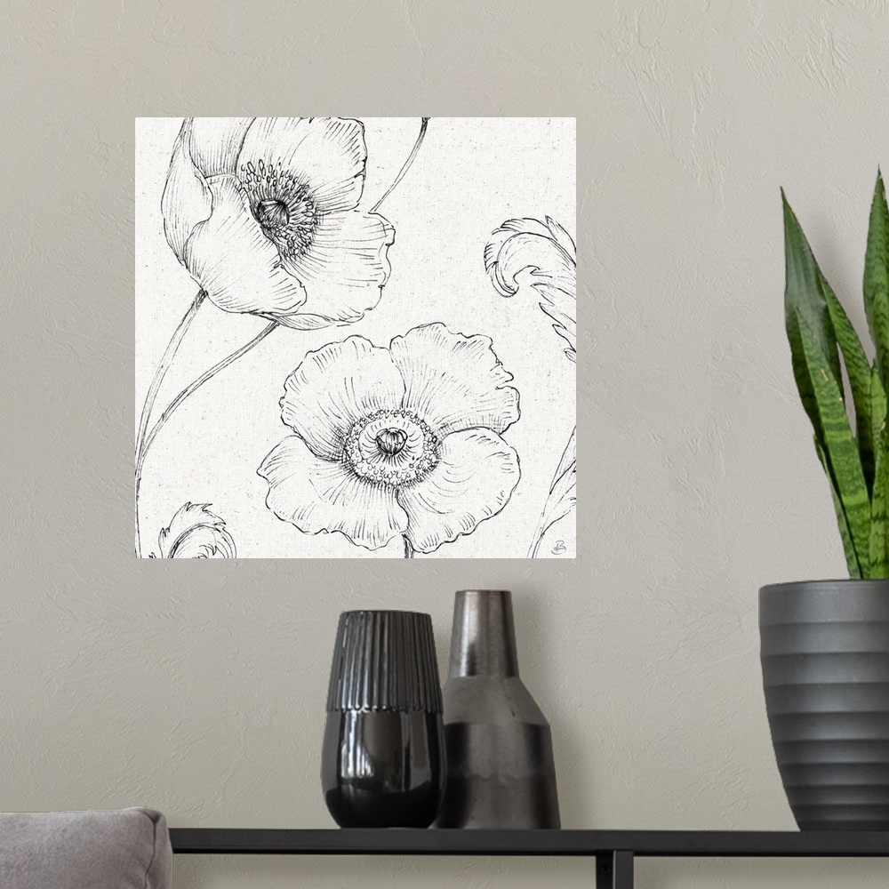 A modern room featuring Pencil outlines of two poppy flowers on a  textured white background.