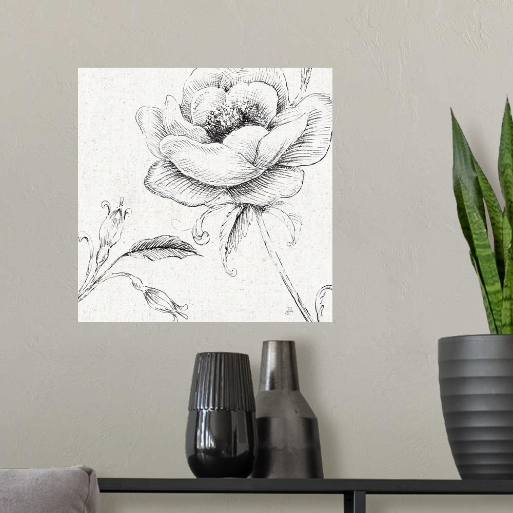 A modern room featuring Pencil outlines of a poppy flower on a  textured white background.
