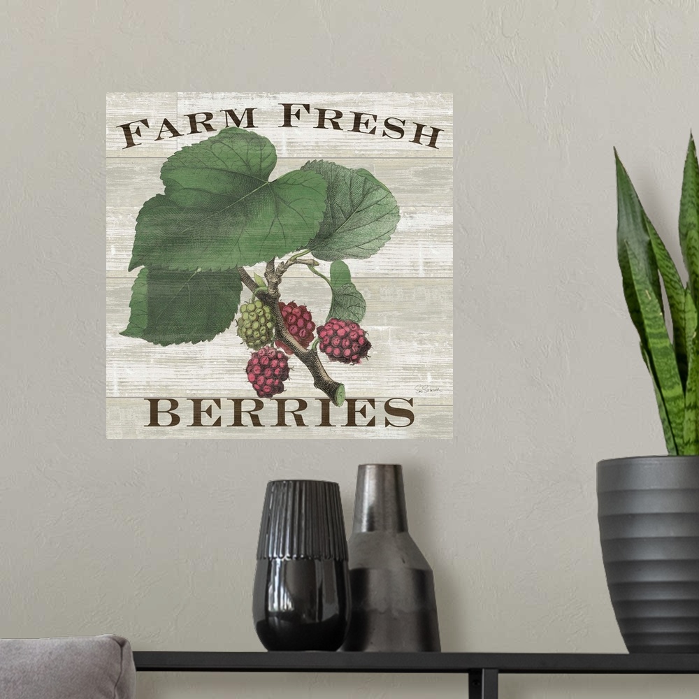 A modern room featuring Farm Fresh Berries