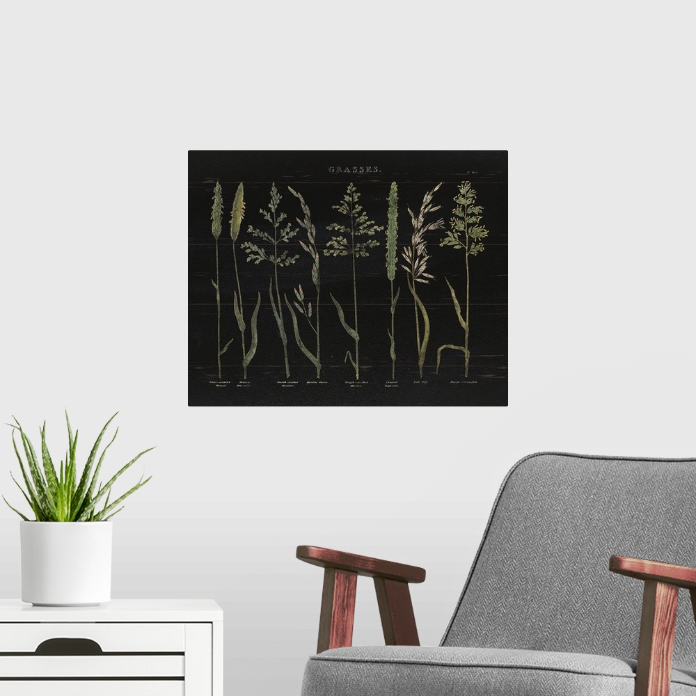 A modern room featuring Herbal Botanical VII Black Wood
