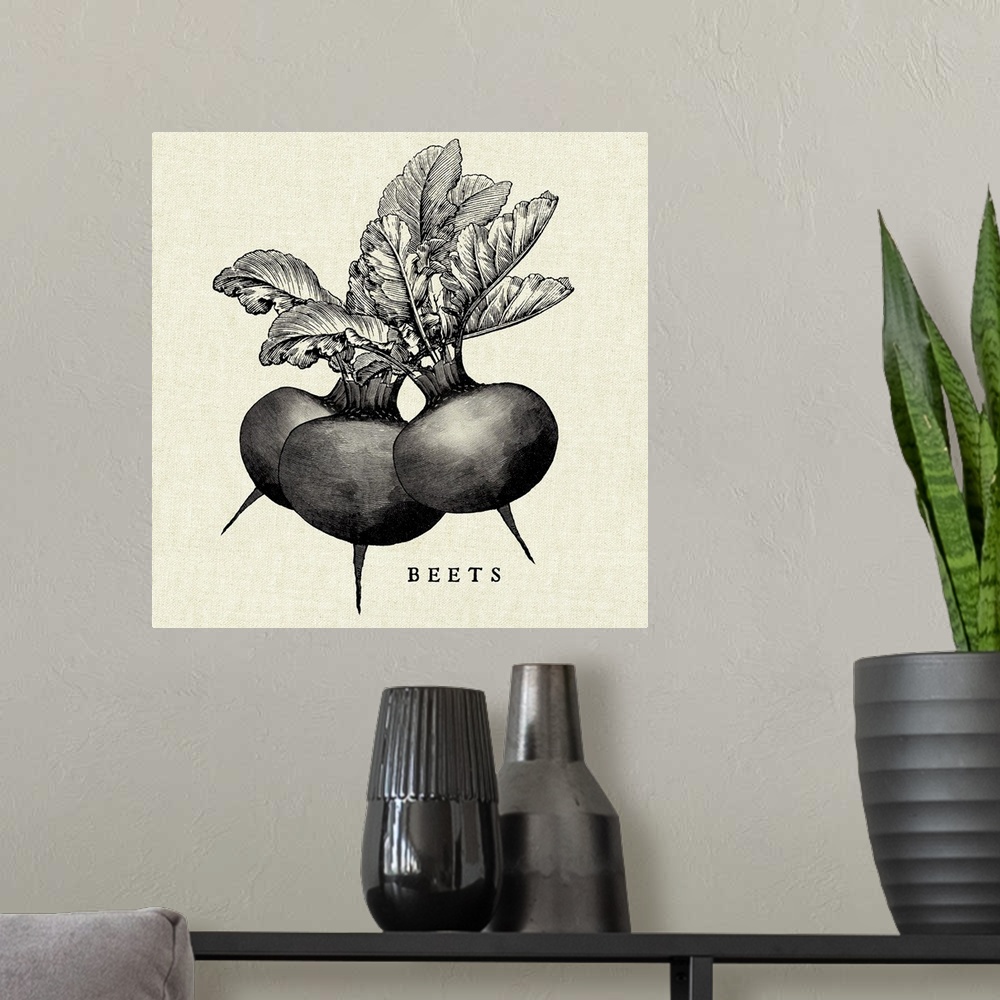 A modern room featuring Black and white illustration of beets on a rustic linen background.
