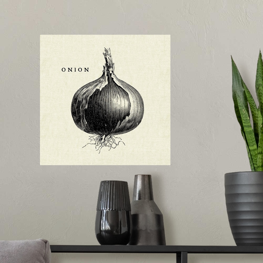 A modern room featuring Black and white illustration of an onion on a rustic linen background.