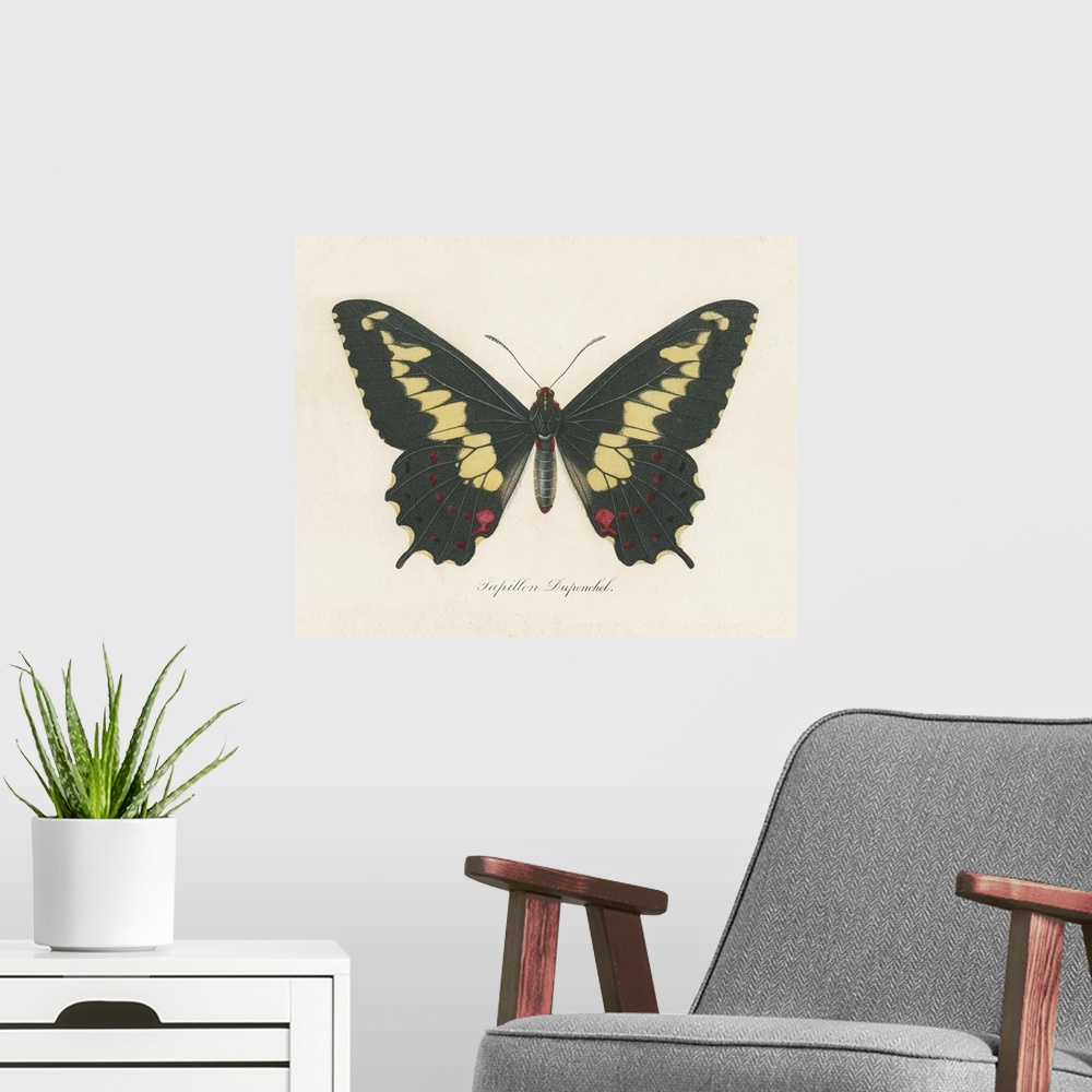 A modern room featuring Natures Butterfly VI