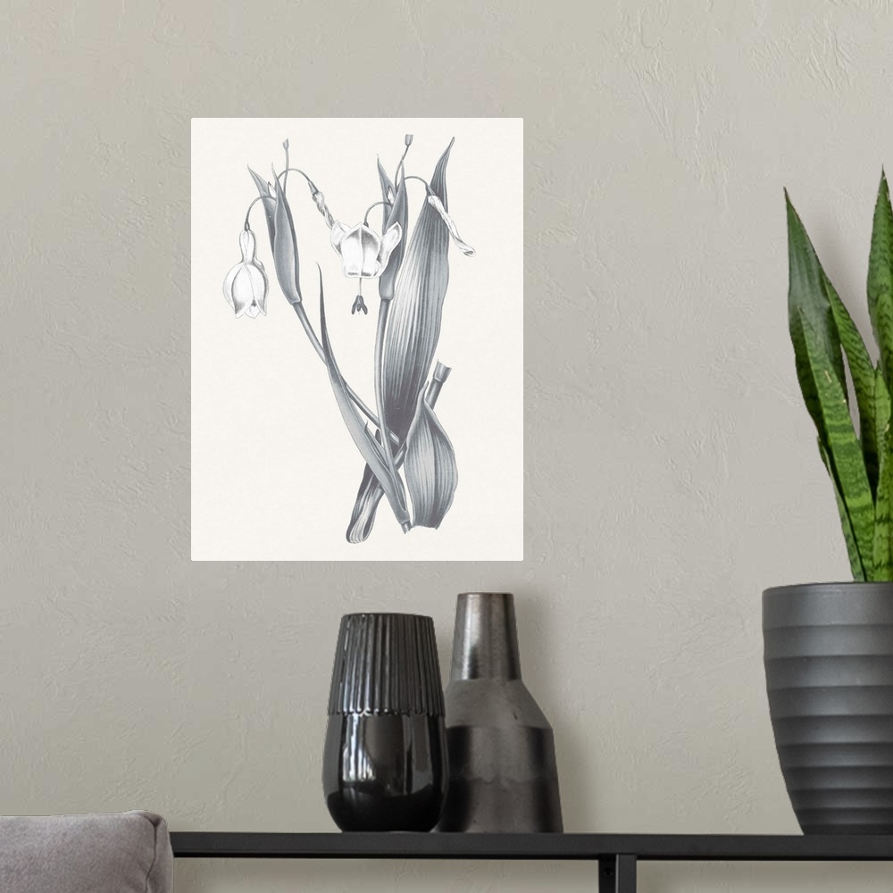 A modern room featuring Black and white painting of lilies on a neutral colored background.