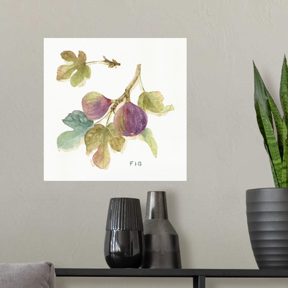 A modern room featuring Watercolor illustration of figs hanging off a branch.