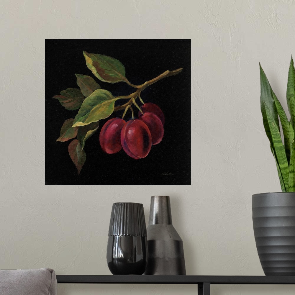 A modern room featuring Square painting of prunes on the vine with a solid black background.