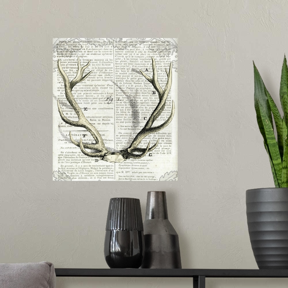 A modern room featuring Artwork of deer antlers against a piece of vintage looking newsprint.