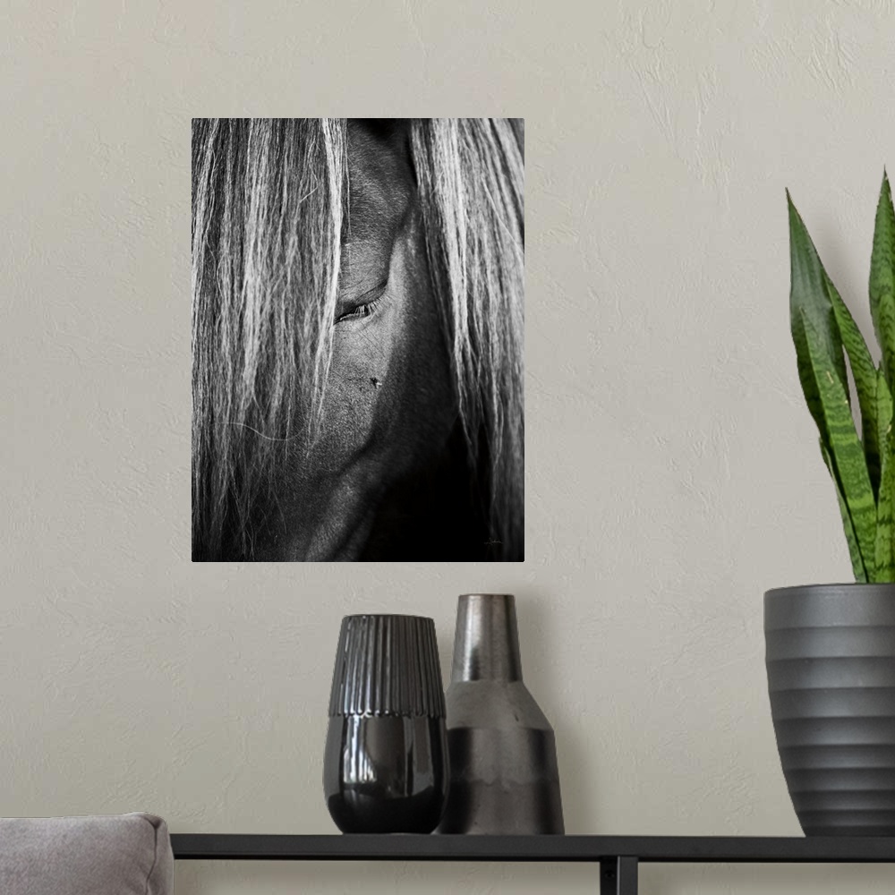 A modern room featuring Close up photo of a horse looking down with a fly resting underneath the eye.