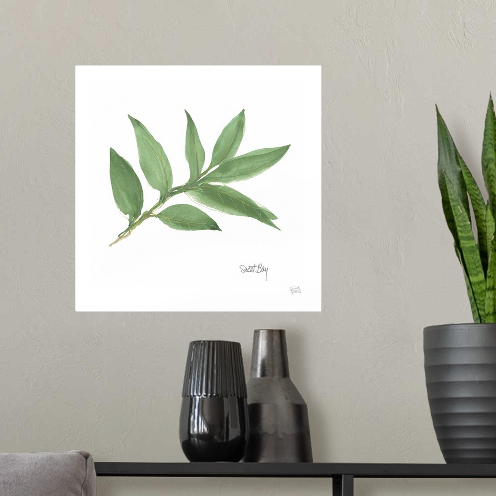 A modern room featuring Simple square watercolor painting of a Bay Leaf with its title written at the bottom.