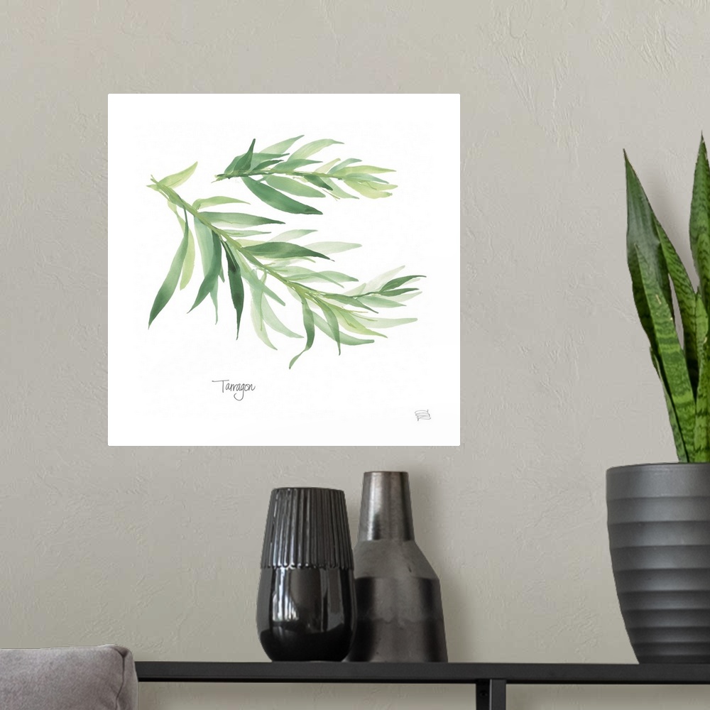 A modern room featuring Simple square watercolor painting of Tarragon with its title written at the bottom.