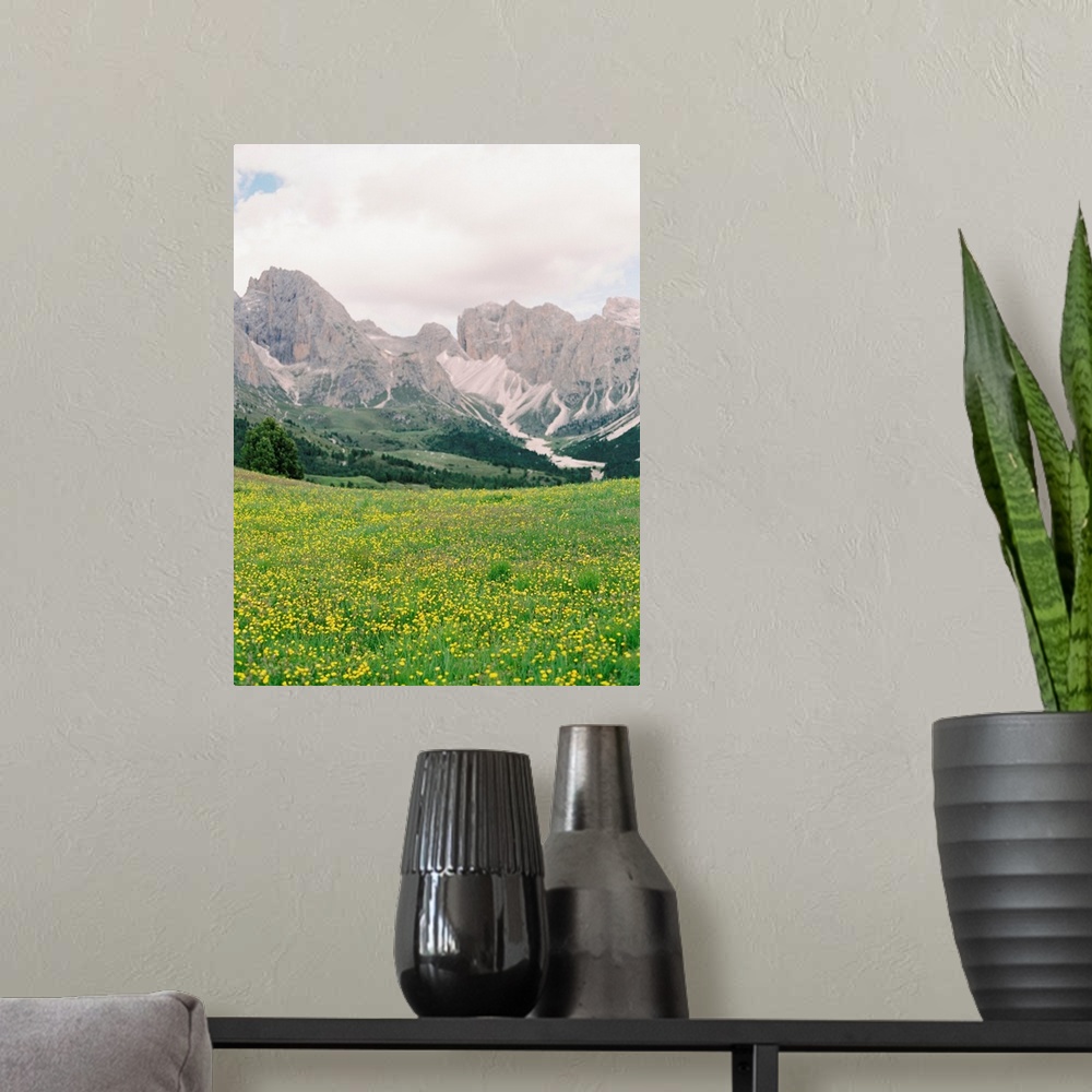 A modern room featuring Photograph of bright yellow wildflowers in front of the Italian Alps, Dolomites, Italy.