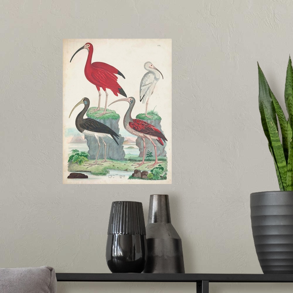 A modern room featuring Antique Heron & Waterbirds II