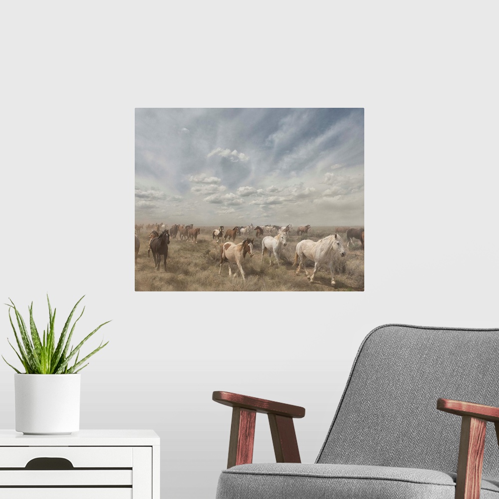 A modern room featuring Photograph of a herd of wild horses moving along a dry landscape.