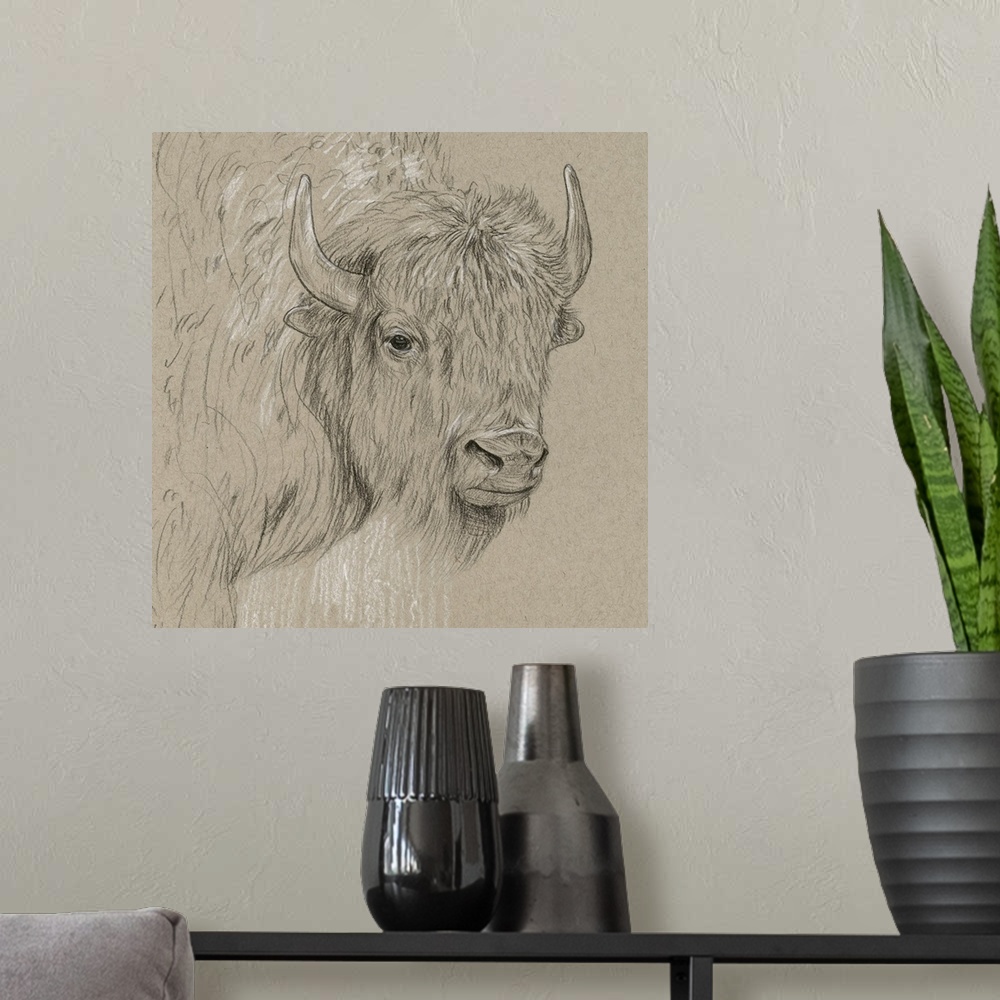 A modern room featuring Black and white sketch of a bison on a neutral background.