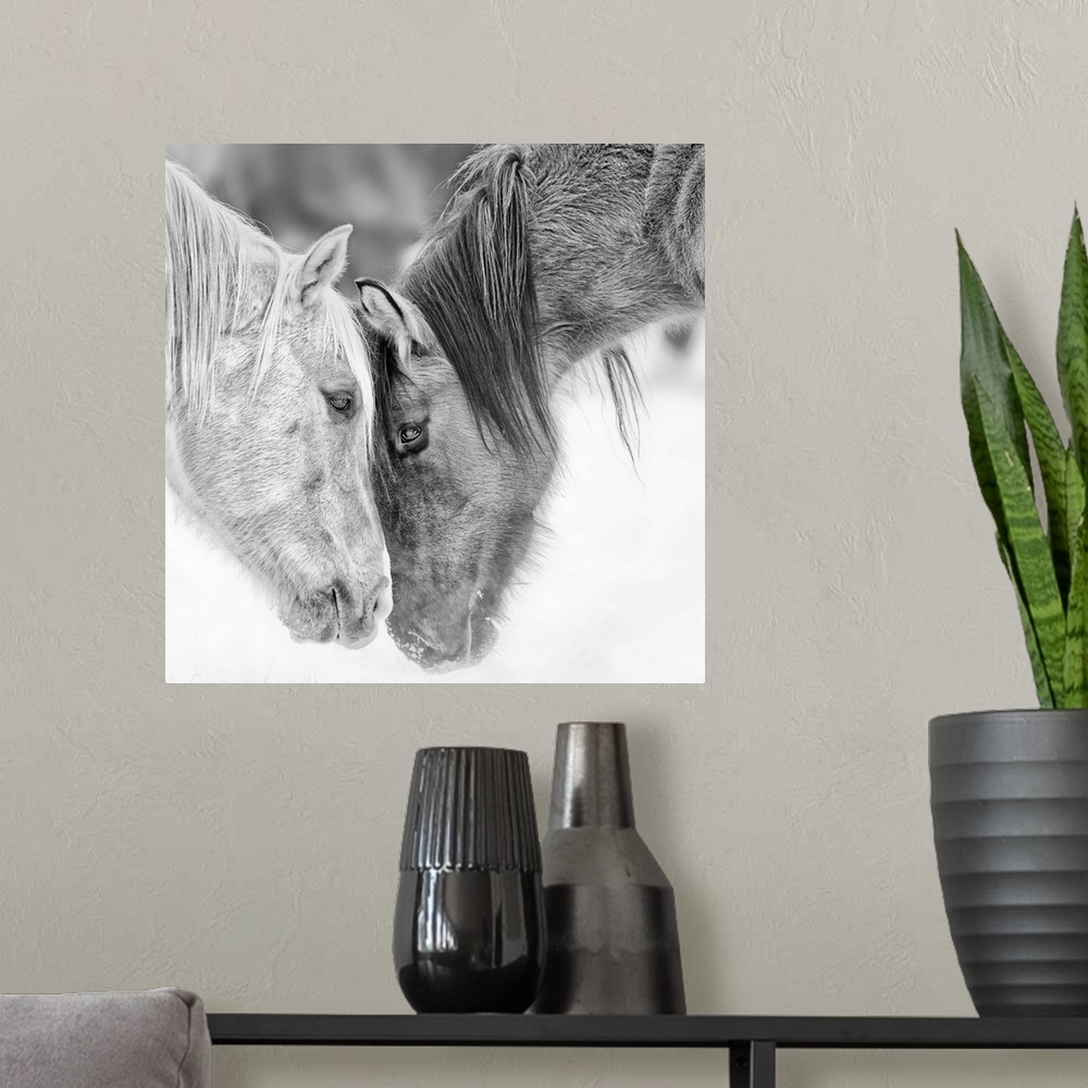 A modern room featuring Black and white photo of two horses nuzzling.