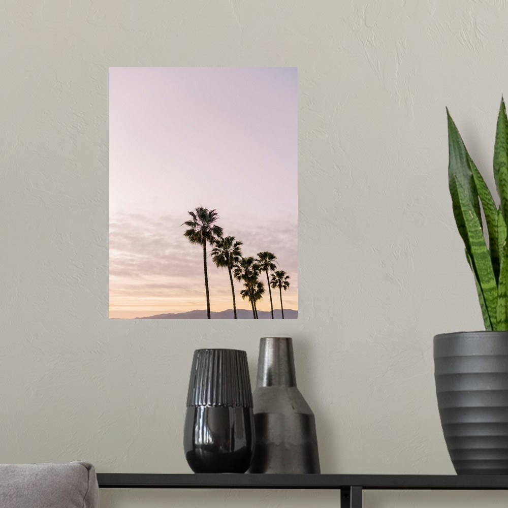 A modern room featuring A photograph of a row of six palm trees in front of an early evening sky and mountains in the dis...