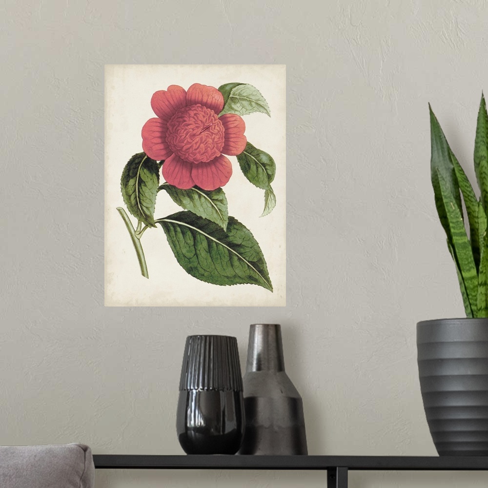 A modern room featuring Vintage-inspired botanical illustration of a carnelian pink flower.