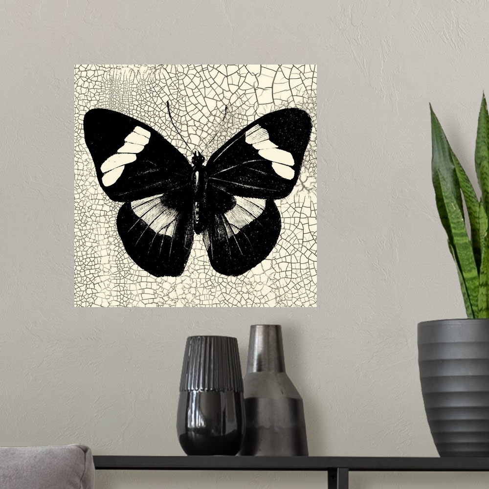 A modern room featuring Classical Butterfly III