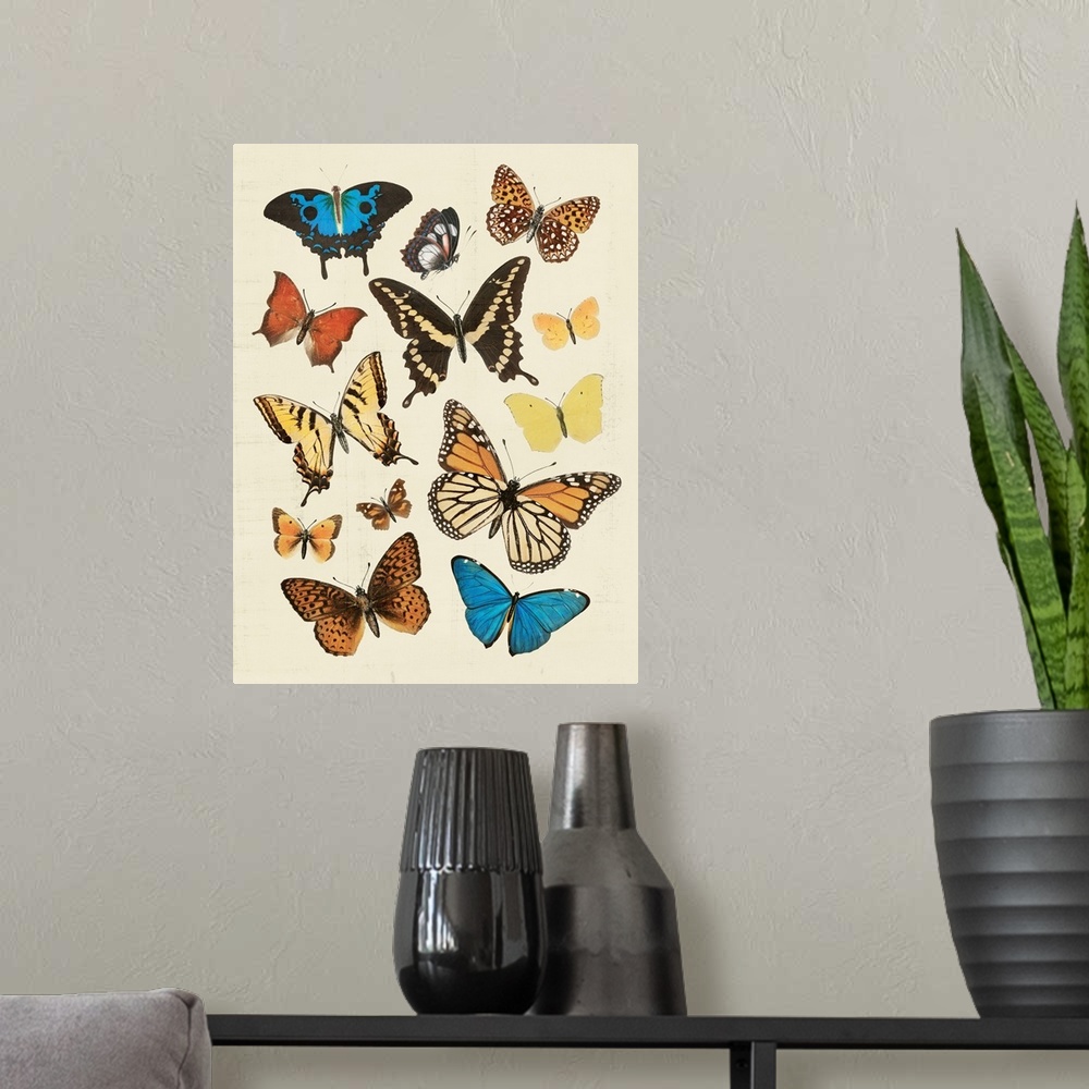 A modern room featuring Collected Flutter II