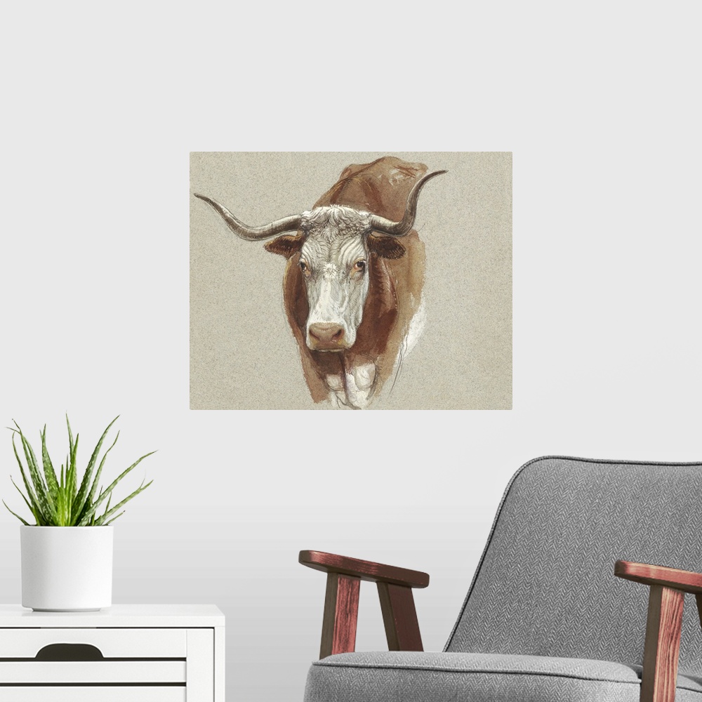 A modern room featuring Colman Cow Portrait Study II