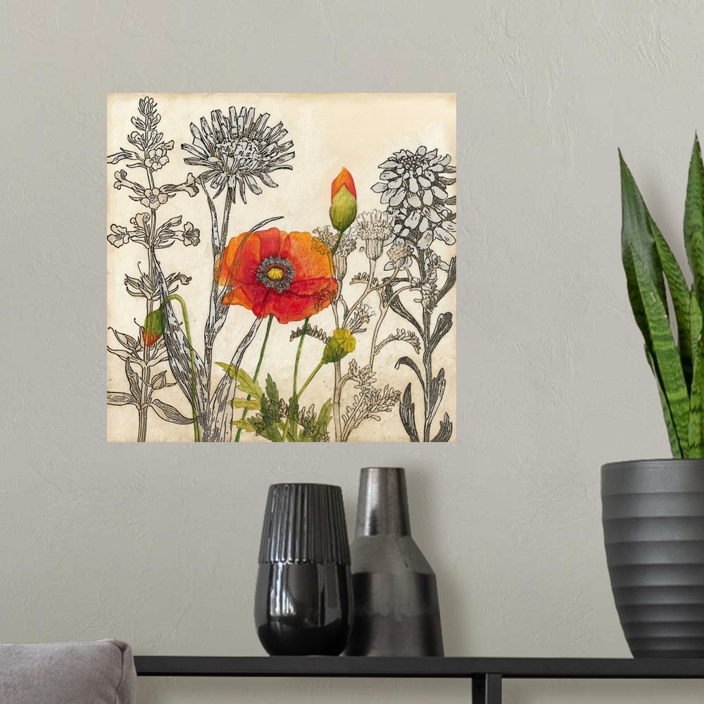 A modern room featuring Emerging Poppy