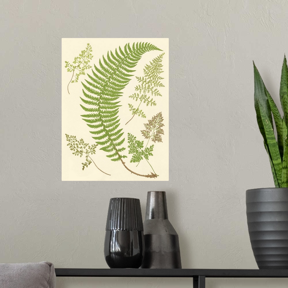 A modern room featuring Ferns with Platemark IV