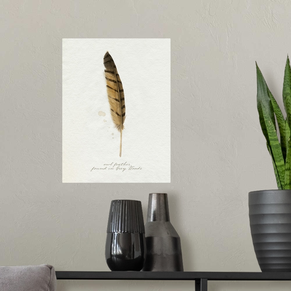 A modern room featuring Found Feather III