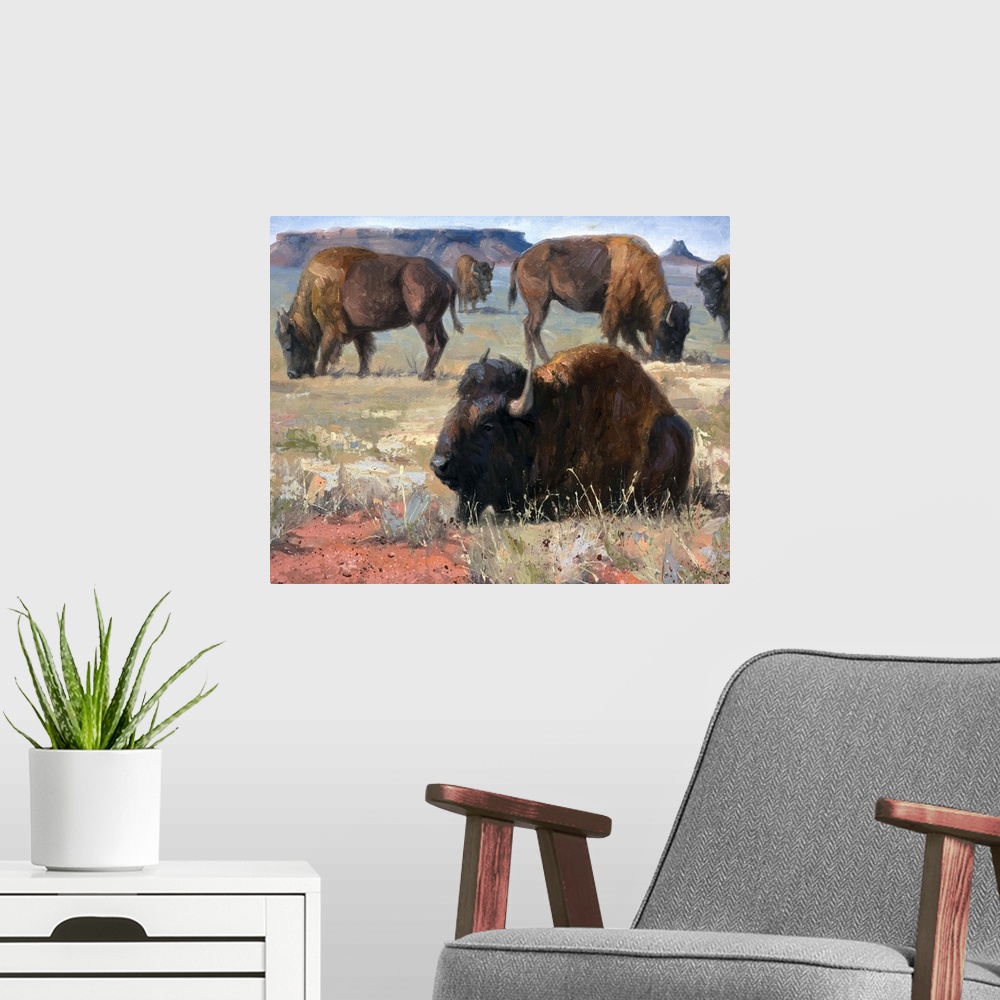 A modern room featuring Contemporary painting of a bison in a herd resting in the prairie.