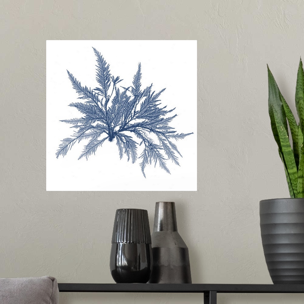 A modern room featuring Navy Seaweed V