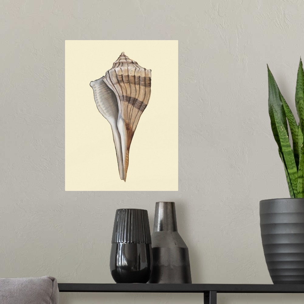 A modern room featuring Neutral-Toned Seashells IV