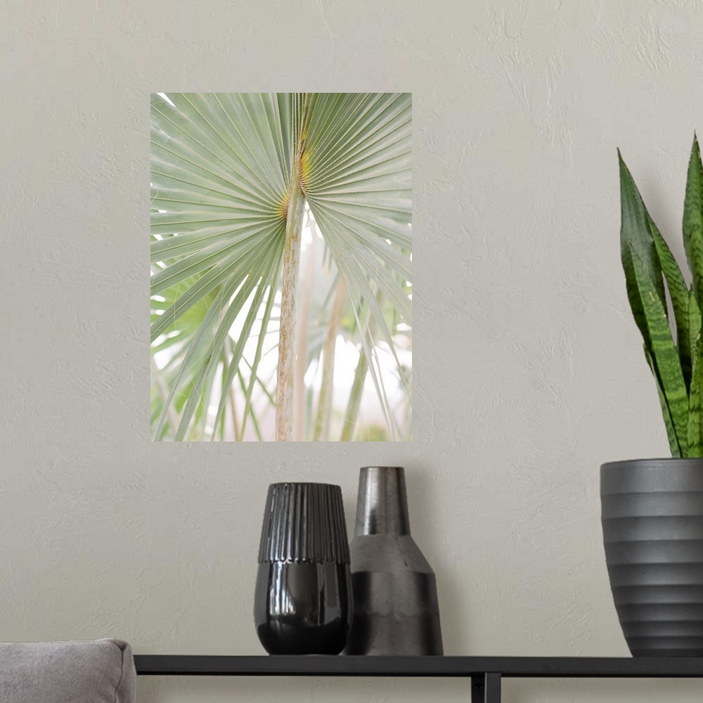 A modern room featuring A faded photograph of geometric palm branches.