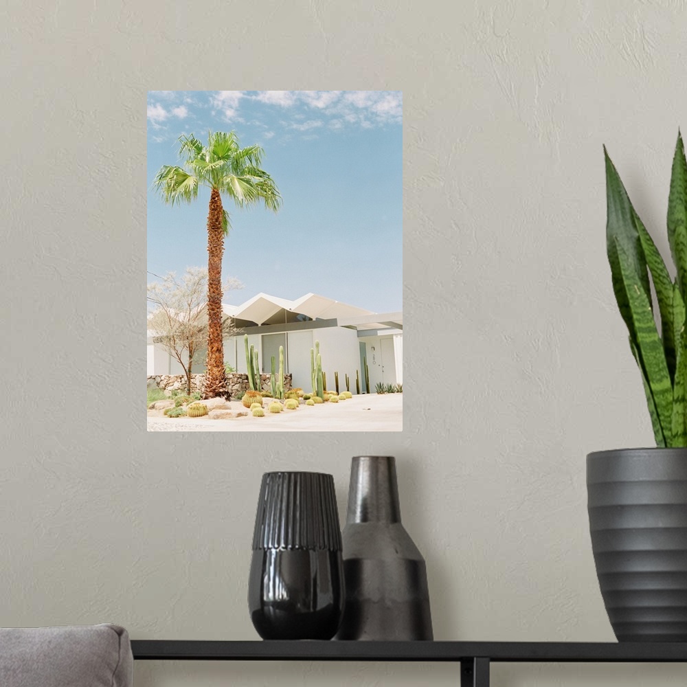 A modern room featuring A photograph of a tall palm tree and cacti in front of a white villa, Palm Springs, California.