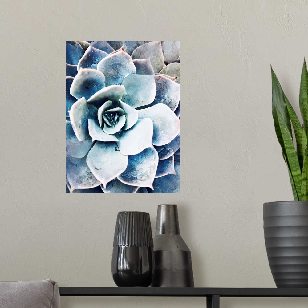 A modern room featuring Pastel Succulent Beauty III