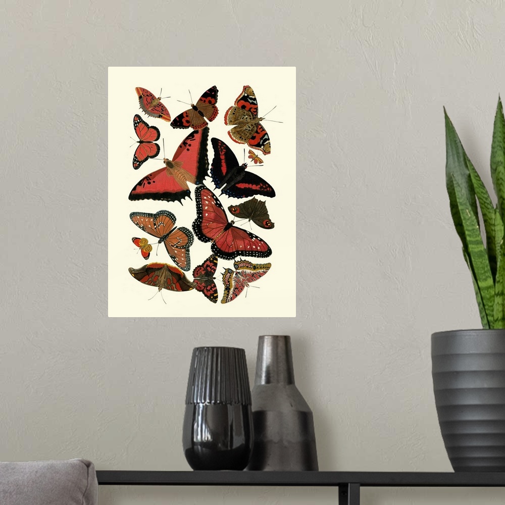 A modern room featuring Red Butterfly Study